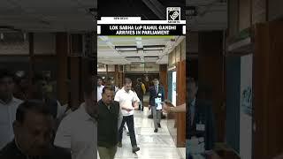 Lok Sabha LoP Rahul Gandhi reaches Parliament to attend Congress MPs meeting