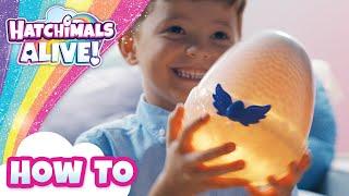 Who Will You Hatch? | Hatchimals Alive Mystery Hatch | How To Video