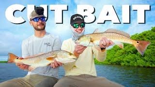 3 Days Chasing Redfish Only Using Cut Bait