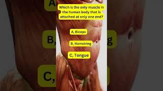 Quiz Addict 25: Which is the only muscle in the human body that is attached at only one end?