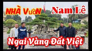 Nhà Vườn Nam Lê Ngai Vàng Đất Việt "Ngót Nửa Triệu Đô" | Bonsai TV - PT