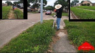 Insane Overgrown Yard Transformation