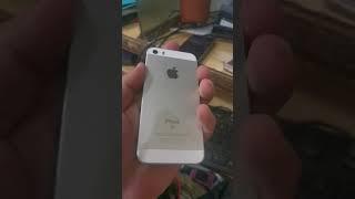 Apple IPhone 5S Classic Phone In My Hand