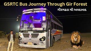 "GSRTC Bus Journey में देखने को मिला एशियाटिक शेर" | GSRTC Bus Journey Through Gir Forest 