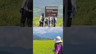 #지리산둘레길 #부산의아름다운길 #전문트레킹가이드