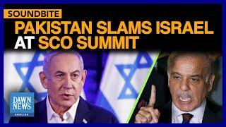 SCO Summit: Pakistan Slams Israel, Calls UNSC for Immediate Ceasefire in Gaza | DAWN News English