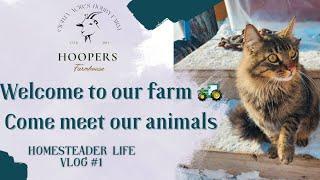 Episode #1 Welcome to our farm|Backcountry Farm Homestead Vlog series #farmanimals #homesteader