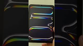 iPad Pro M4 demoloop