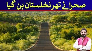 Thar Desert becomes an Oasis | Rich Pakistan