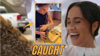 CAUGHT ON TAPE: Beekeeper On White Truck Does The Work In Meghan’s Fake Honey Harvest!