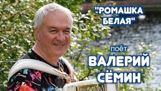 Песня "РОМАШКА БЕЛАЯ" ️ ️ ️ Поёт Валерий Сёмин ️