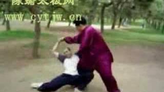 陈瑜招法示范 Chenyu Demontrates Qinna and Throw, Chen Taijiquan Association Boston MA area