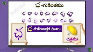 ఛ గుణింత పదాలు | Cha Gunintham Cha Guninthakshara Padalu in telugu | Cha Gunintha padalu@TeluguVanam