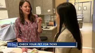 Warmer weather is here, and so are ticks