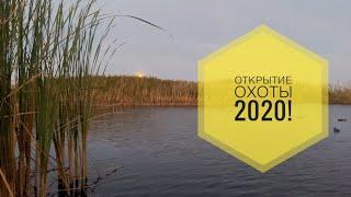 Открытие охоты на утку 2020!