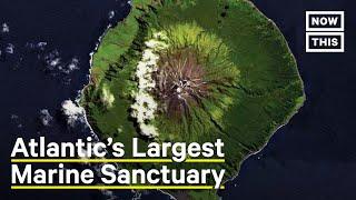 This Archipelago Is the Largest Marine Sanctuary in the Atlantic | NowThis Earth