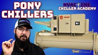 Know Pony Chillers - Chiller Academy