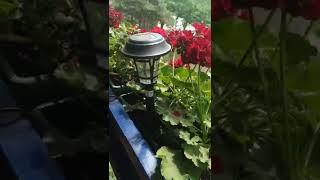 Gardena AquaBloom Set - on the loggia