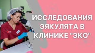 Виды исследований эякулята в клинике "ЭКО"