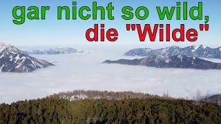 gar nicht so wild, die "Wilde"