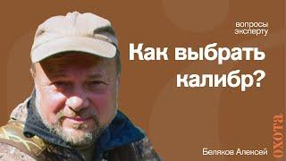 О калибрах. Алексей Беляков о том, на кого с чем охотиться?