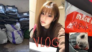 VLOG. 휴학하고 일단 질러버린 블로그마켓 준비 브이로그 | 첫 동대문 사입 | 시험기간 아닌 생일보내기 