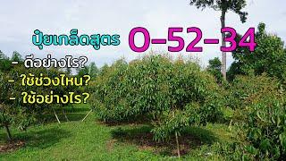 ปุ๋ยเกล็ดสูตร 0 52 34 ดีอยางไร ใช้อย่างไร และใช้ช่วงไหน มาฟังเฉลยกัน