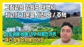 한반도의중심 좋은기운 가득한 강원도 태백시 알짜 부동산 매물 소개합니다 [ep87]#태백시 #부동산 #토지