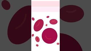 RBC Value | Normal RBC Count | Red Blood Cells in Human Body