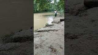 catching fish #shorts #shortsvideo #shortvideo #catchfish #catchingfish