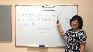 Managing Chinese in 5 Minutes. Lesson 2: How are you?