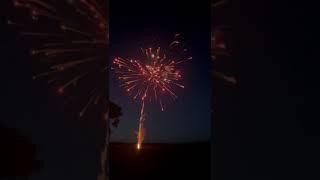 Thunder Willow 36 shot Firework Cake NEW 2024 HITTER 