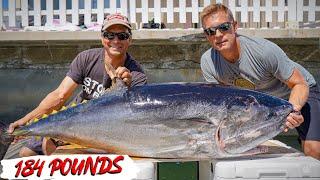 Giant Southern California Bluefin Tuna {CATCH CLEAN COOK}