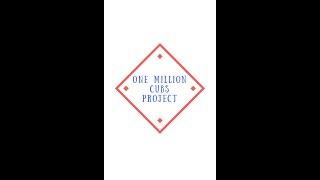 Hobby Evolution Episode 437 - Quirks of the One Million Cubs Project
