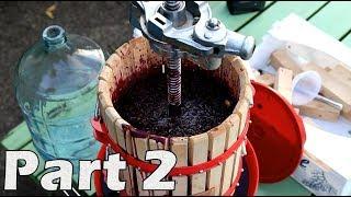 How to Make Red Wine from Grapes - Part 2