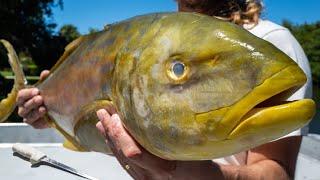 The Reason Local Fishermen Keep This Fish Secret