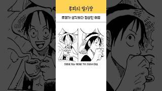 루피가 생각보다 정상인 이유