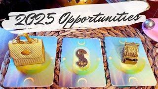 Your hidden opportunities & talents in 2025  pick a card reading + pendulum & charms!