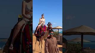 What CANNOT be exported from Egypt⁉️ PROHIBITIONS, problems at the airport in Egypt #shorts