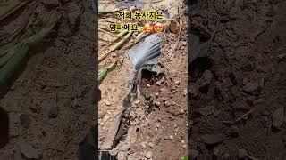 #사투리 #양파
