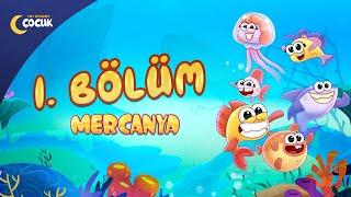 Mercanya - 1. Bölüm