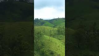 Tramptraveller #Shorts#nature video#meditation#western ghats#Nature.