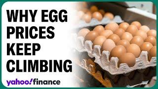 Egg inflation: Why prices keep climbing