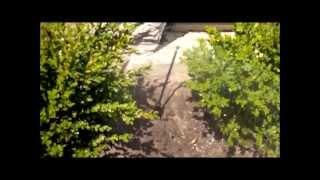 DIY Automated In-Ground Water Sprinklers - Before Installation