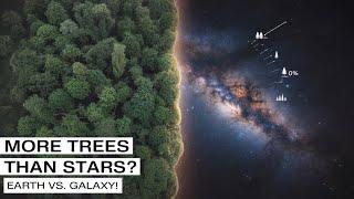 More Trees Than Stars?! The Shocking Truth About Earth’s Forests vs. The Milky Way