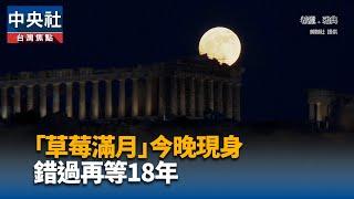 「草莓滿月」今晚現身 錯過再等18年｜中央社影音新聞