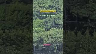 창문에 비친 건너편 산의 바람 부는 풍경                                   이찬원/사나이 눈물