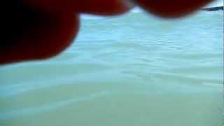 How I swim ?