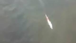 Видео №4