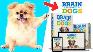 Brain Training For Dogs Review. WATCH NOW! Adrienne Farricelli Brain Training For Dogs Reviews